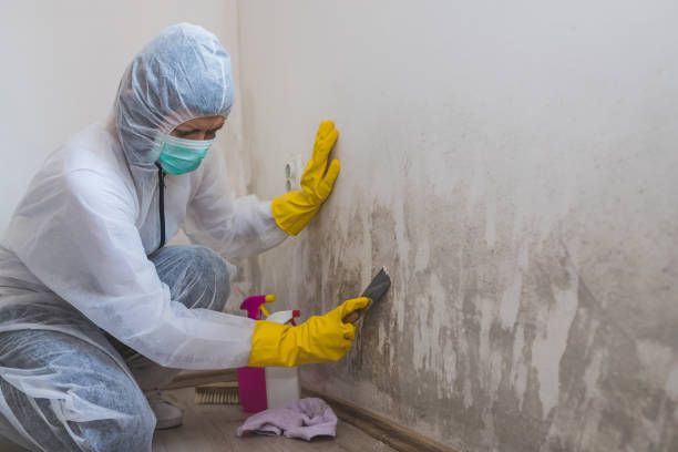 Best Emergency Mold Remediation  in Big Sandy, TX