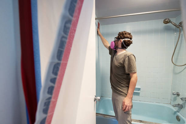 Trusted Big Sandy, TX Mold Removal Experts
