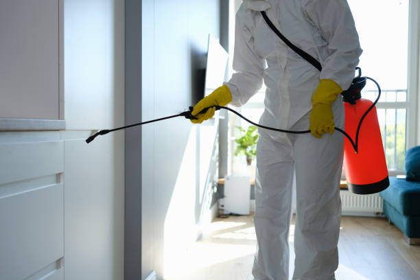 Mold Remediation for Rental Properties in Big Sandy, TX