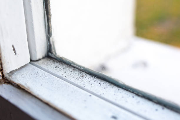 Best Comprehensive Air Testing for Mold Contaminants  in Big Sandy, TX