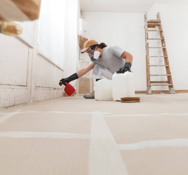 Best Mold Odor Removal Services  in Big Sandy, TX