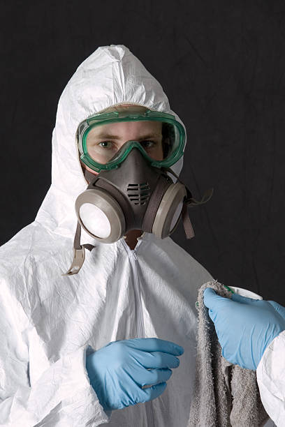 Best Water Damage & Mold Remediation  in Big Sandy, TX